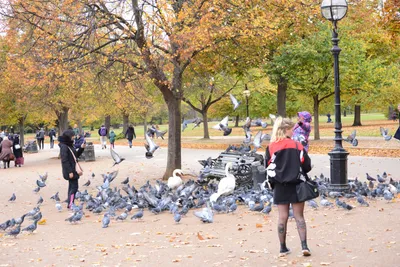 DSC_0626 (Large).JPG